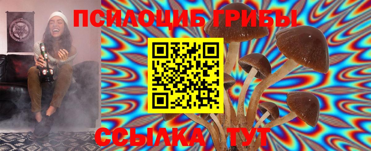 Галлюциногенные грибы MAGIC MUSHROOMS  Вход с VPN  Ступино  Галлюциногенные грибы прущие грибы 